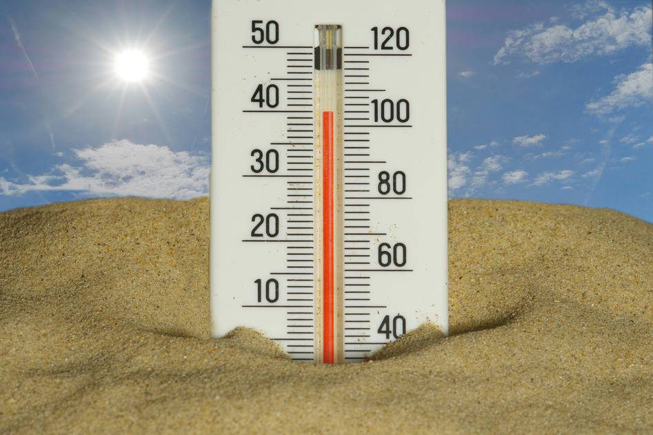 Blogger testing digital thermometer accuracy in home kitchen
