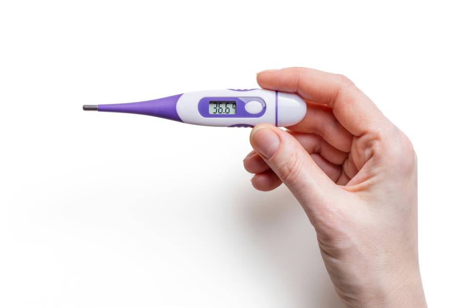 Digital refrigerator thermometer clipped inside a modern fridge door with temperature display